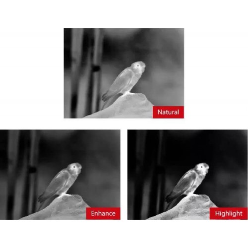 Тепловизионный бинокуляр Guide TN430 400х300, ø35мм, лазерный дальномер в Уфе