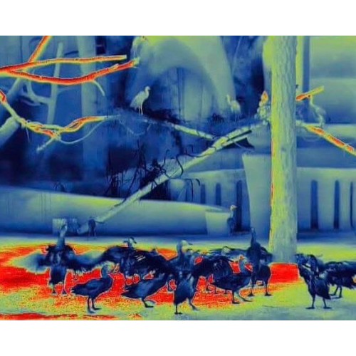 Тепловизионный бинокуляр Guide TN430 400х300, ø35мм, лазерный дальномер в Уфе