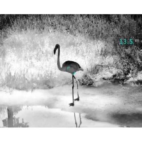 Тепловизионный бинокуляр Guide TN430 400х300, ø35мм, лазерный дальномер в Уфе