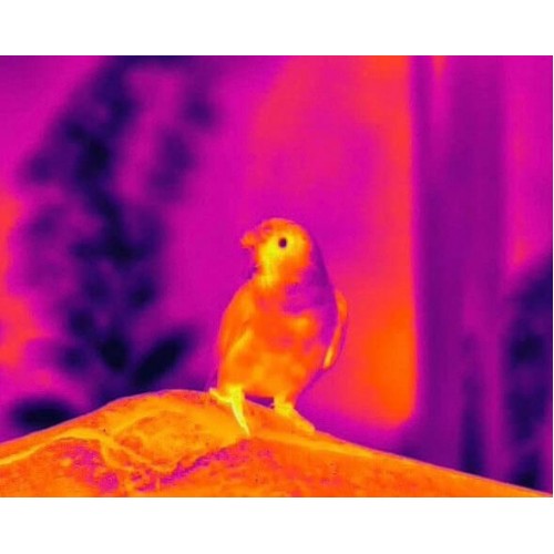 Тепловизионный бинокуляр Guide TN430 400х300, ø35мм, лазерный дальномер в Уфе